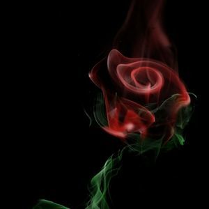 Meet your Posher, Marisol